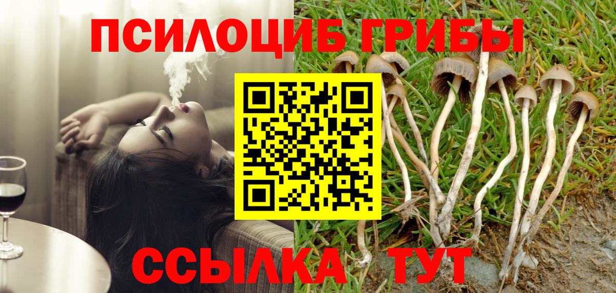 Псилоцибиновые грибы Psilocybine cubensis  Вход с VPN  Изобильный 