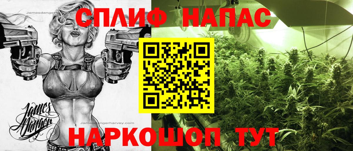 МАРИХУАНА гибрид  Шишки марихуана White Widow  Изобильный  Вход с VPN  Каннабис семена  Конопля индика 
